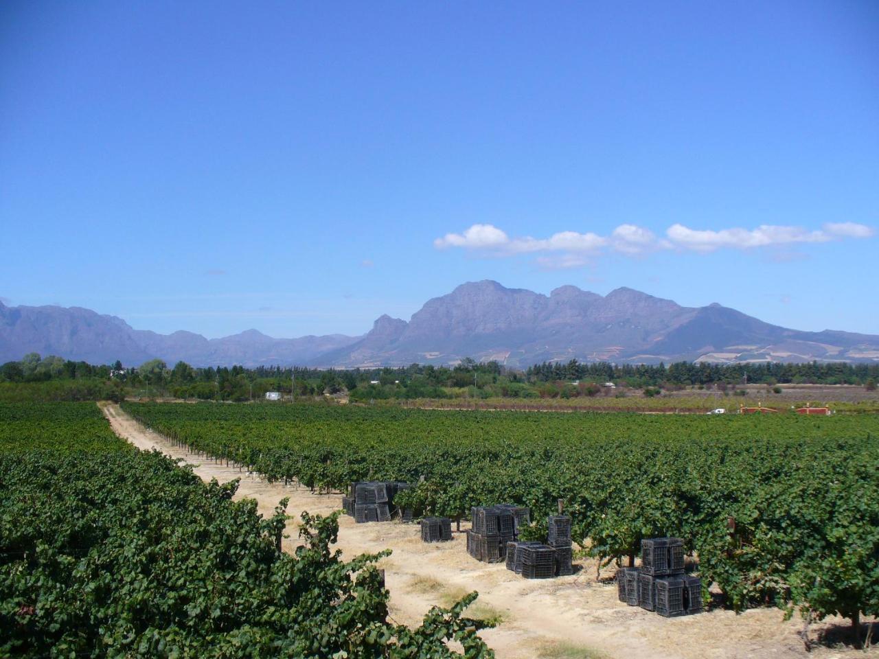 Hartebeeskraal Selfcatering Cottage Paarl Dış mekan fotoğraf